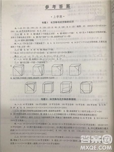 2018年南大輔教小學(xué)生階梯數(shù)學(xué)培優(yōu)題典六年級(jí)參考答案