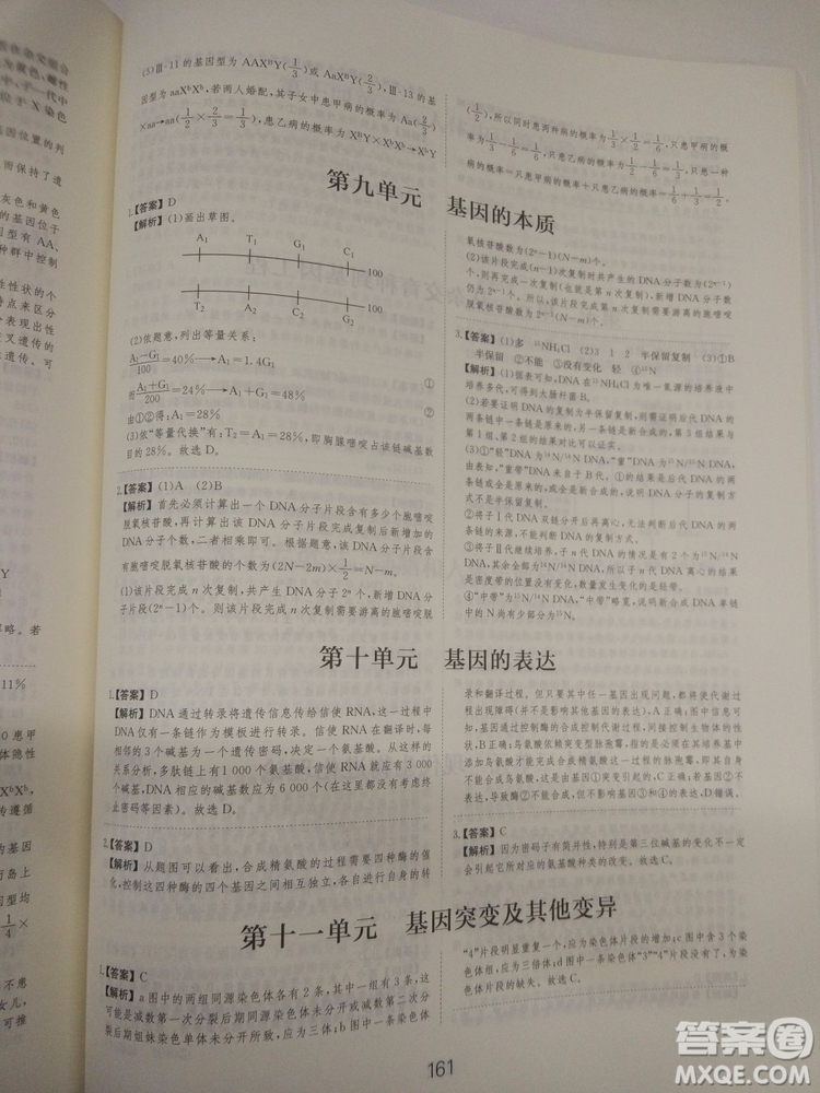 愛(ài)學(xué)習(xí)刷題狗高考生物參考答案