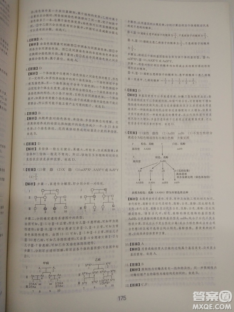 愛(ài)學(xué)習(xí)刷題狗高考生物參考答案