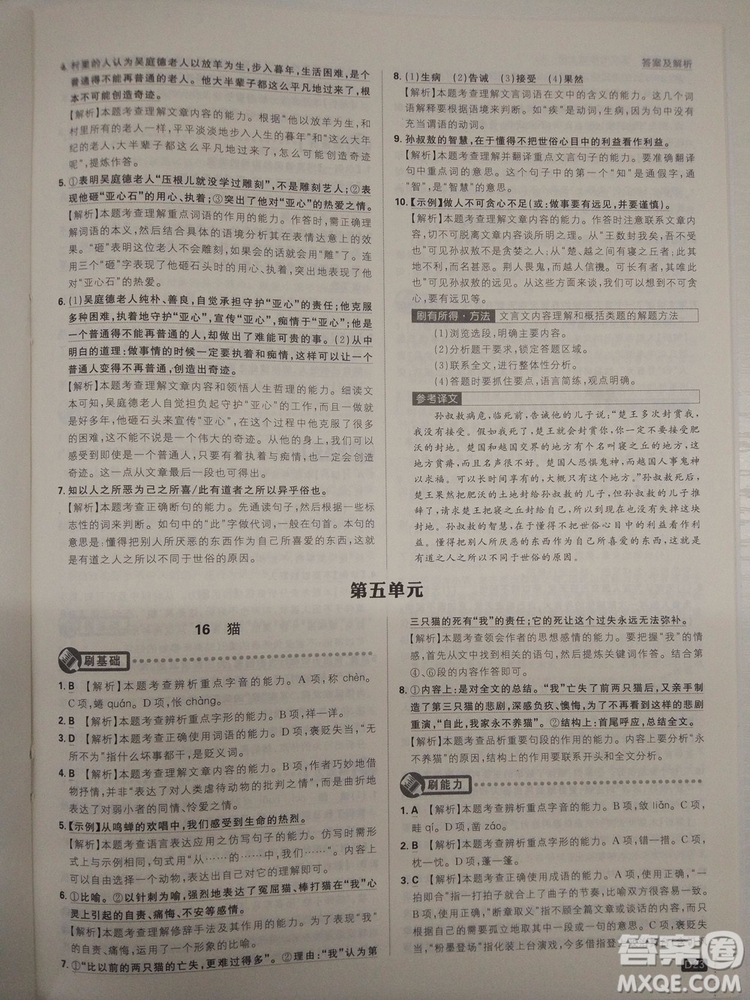 2019新版初中必刷題人教版七年級(jí)上冊(cè)語(yǔ)文參考答案