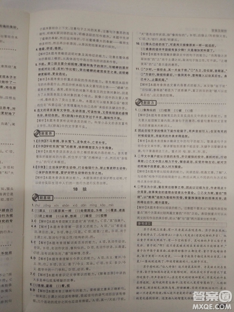 2019新版初中必刷題人教版七年級(jí)上冊(cè)語(yǔ)文參考答案