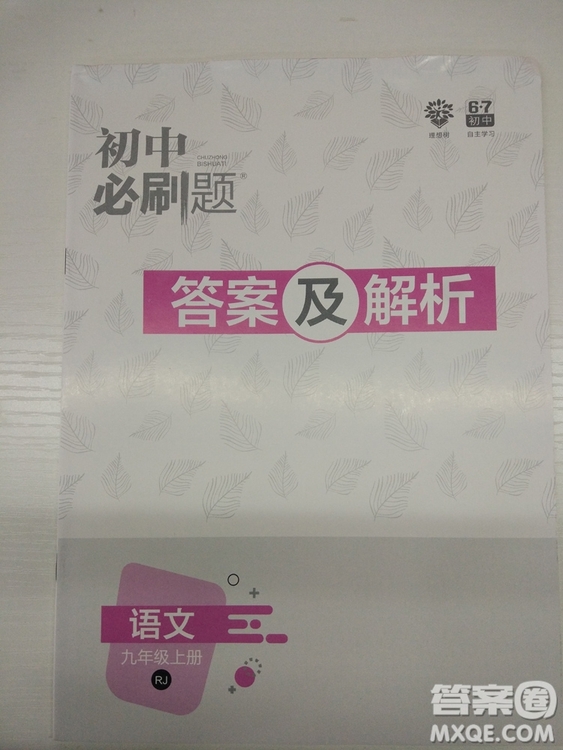 2019人教版初中必刷題語文九年級上冊參考答案