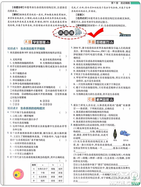 2019新版教材劃重點高中生物高一必修1RJ人教版參考答案