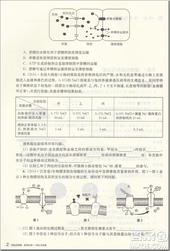 2018年高考生物挑戰(zhàn)壓軸題強(qiáng)化訓(xùn)練篇參考答案