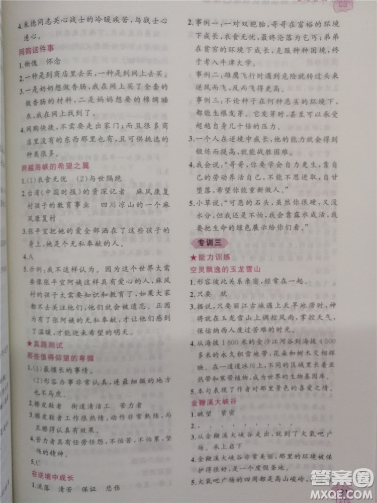 2018年老蔡幫小學(xué)語文閱讀績優(yōu)訓(xùn)練四年級參考答案