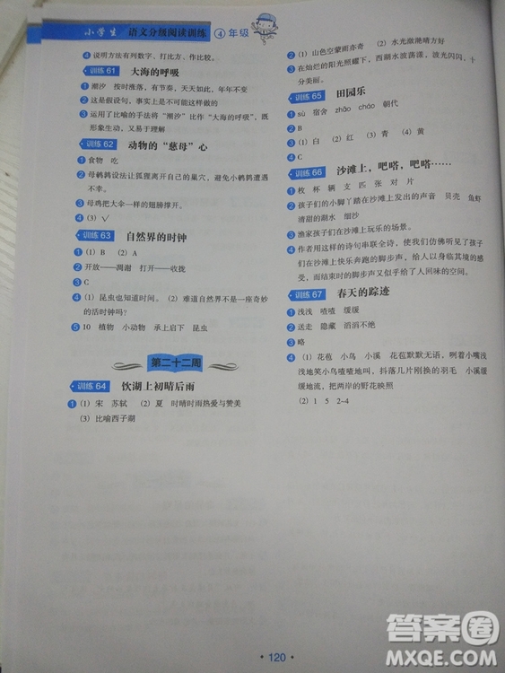 2018正版小學(xué)生語(yǔ)文分級(jí)閱讀訓(xùn)練4年級(jí)通用版答案