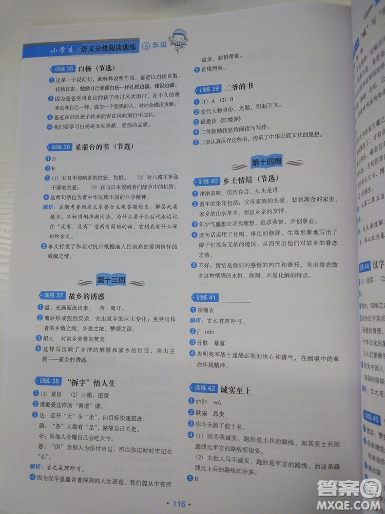 分級(jí)閱讀訓(xùn)練小學(xué)生語(yǔ)文5年級(jí)2018新版答案