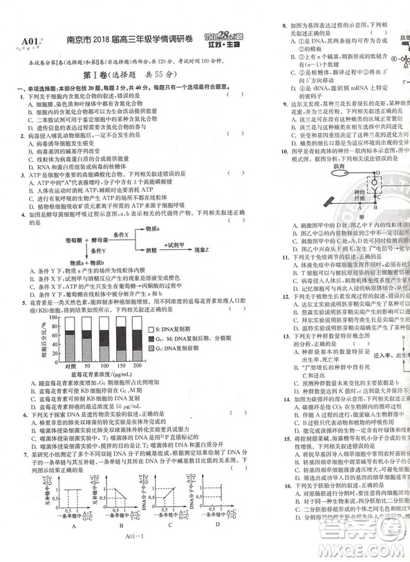 恩波教育2019新版江蘇高考模擬試卷匯編優(yōu)化28+2套生物答案