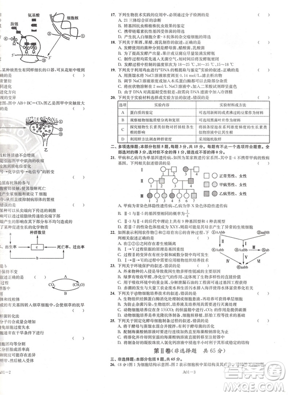 恩波教育2019新版江蘇高考模擬試卷匯編優(yōu)化28+2套生物答案