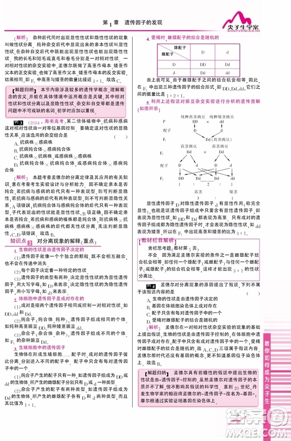 吉林人民出版社2019尖子生學(xué)案新課標人教版生物必修2參考答案