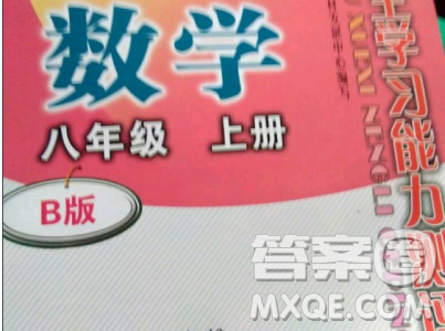 2018自主學(xué)習(xí)能力測(cè)評(píng)數(shù)學(xué)8八年級(jí)上冊(cè)參考答案