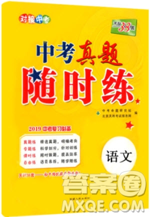 2019年初中語(yǔ)文中考真題隨時(shí)練參考答案