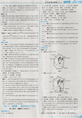 2018新版同步導(dǎo)學(xué)案課時(shí)練生物必修1人教版答案