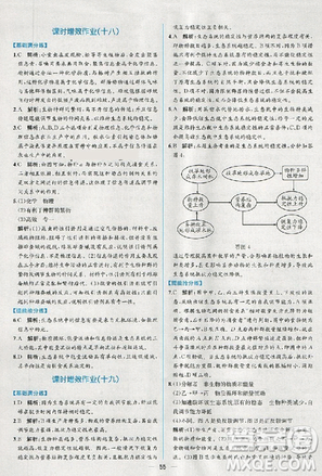 2018人教版同步導(dǎo)學(xué)案課時練生物必修3參考答案