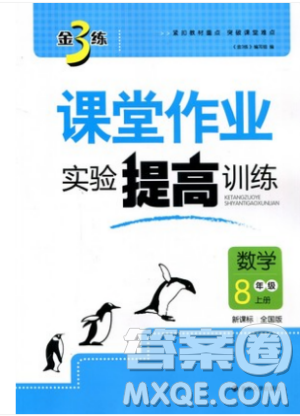 金三練2018課堂作業(yè)實驗提高訓(xùn)練八年級數(shù)學(xué)上全國版答案