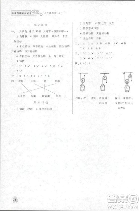 2018年新版小學生新課程學習與評價六年級科學上冊K版人教版答案