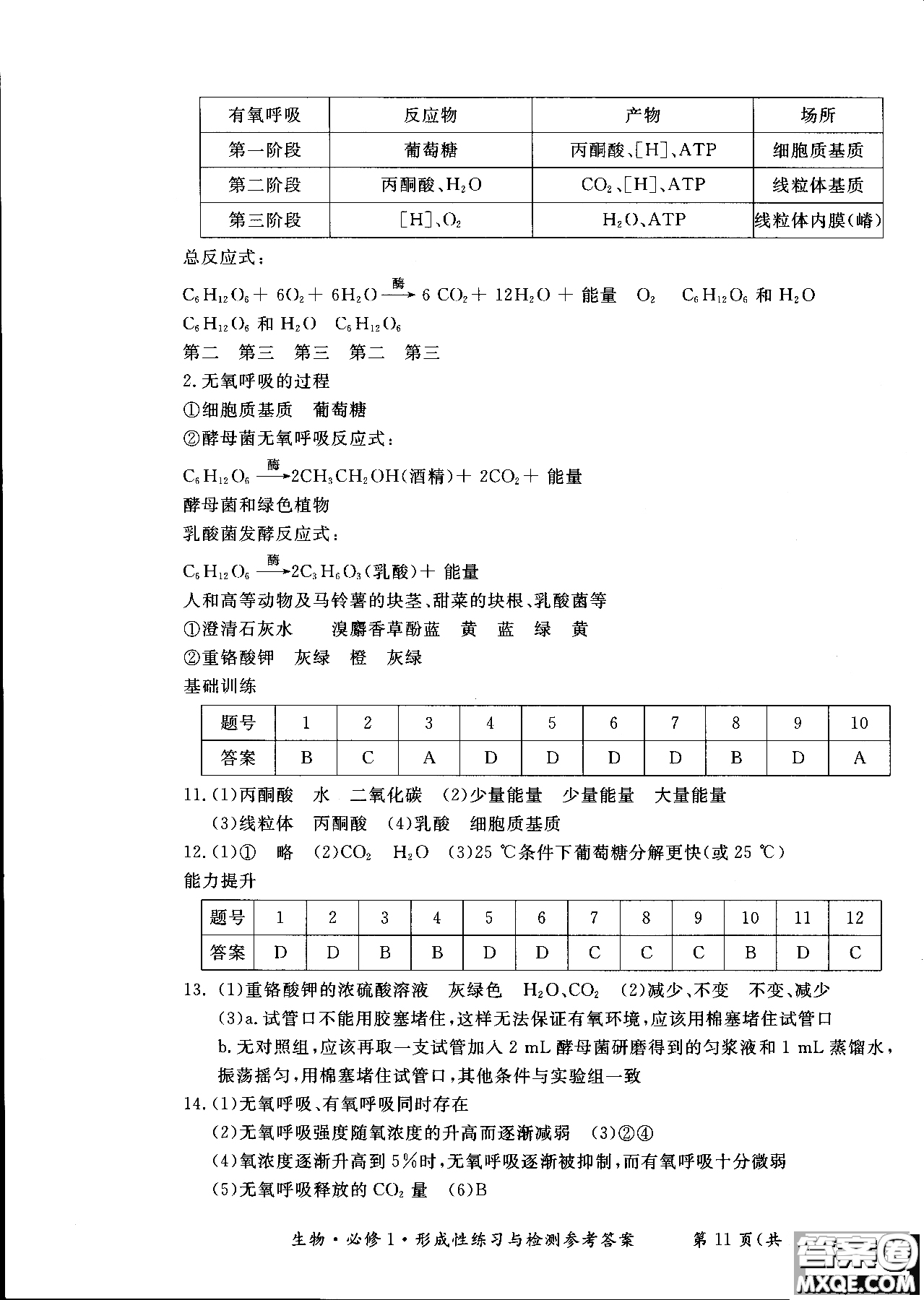 2018秋新課標(biāo)形成性練習(xí)與檢測(cè)生物必修1參考答案