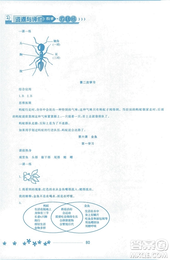 2018資源與評價科學三年級上冊教科版參考答案