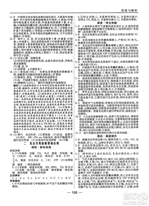 人教版45分鐘課時(shí)作業(yè)與單元測(cè)試高中生物必修1參考答案