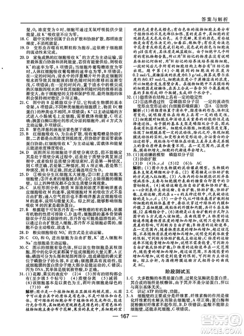 人教版45分鐘課時(shí)作業(yè)與單元測(cè)試高中生物必修1參考答案