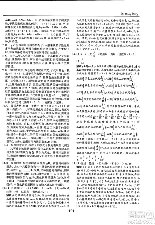 45分鐘課時作業(yè)與單元測試人教版高中生物必修2參考答案