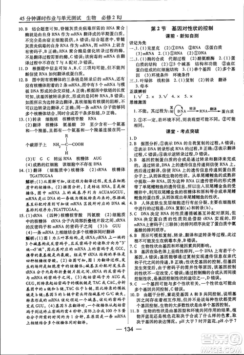 45分鐘課時作業(yè)與單元測試人教版高中生物必修2參考答案