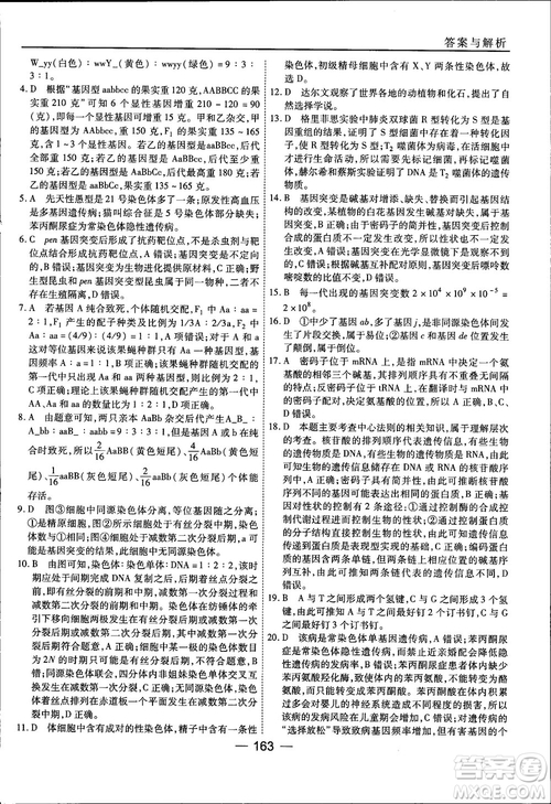 45分鐘課時作業(yè)與單元測試人教版高中生物必修2參考答案