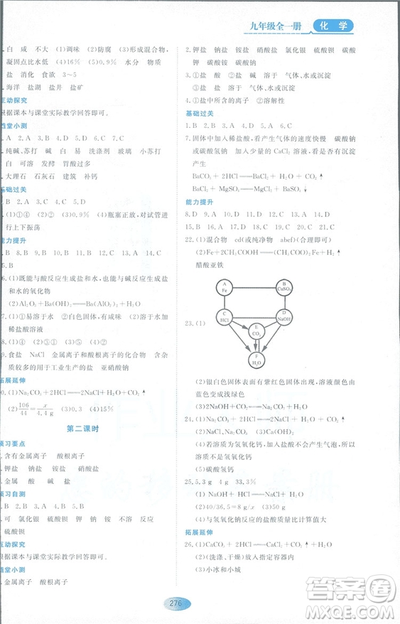 2018資源與評價九年級化學全一冊人教版參考答案