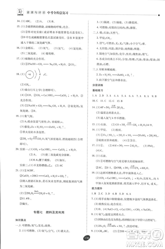 2018年資源與評價中考全程總復(fù)習(xí)化學(xué)D版參考答案