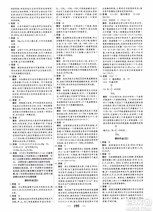 2019衡水重點中學(xué)高考調(diào)研同步精講精練新課標(biāo)版生物必修1參考答案