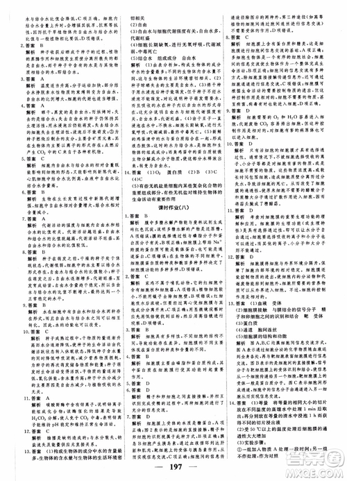 2019衡水重點中學(xué)高考調(diào)研同步精講精練新課標(biāo)版生物必修1參考答案