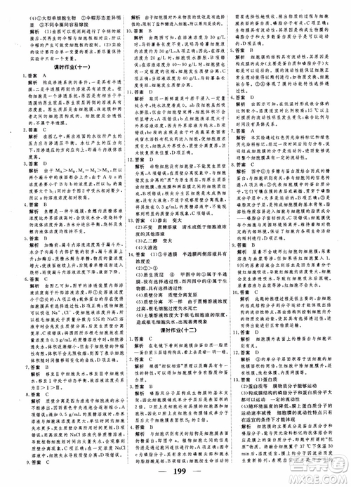 2019衡水重點中學(xué)高考調(diào)研同步精講精練新課標(biāo)版生物必修1參考答案