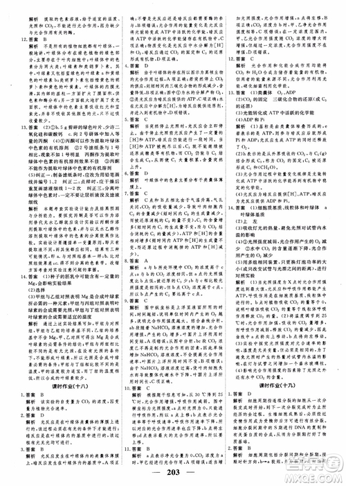 2019衡水重點中學(xué)高考調(diào)研同步精講精練新課標(biāo)版生物必修1參考答案