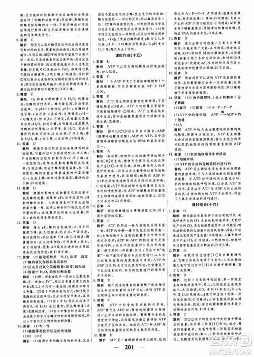 2019衡水重點中學(xué)高考調(diào)研同步精講精練新課標(biāo)版生物必修1參考答案