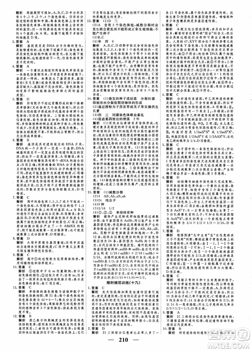 衡水重點中學(xué)高考調(diào)研2018同步精講精練新課標版生物必修2參考答案