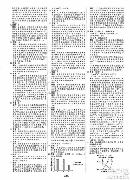 衡水重點中學(xué)高考調(diào)研2018同步精講精練新課標版生物必修2參考答案