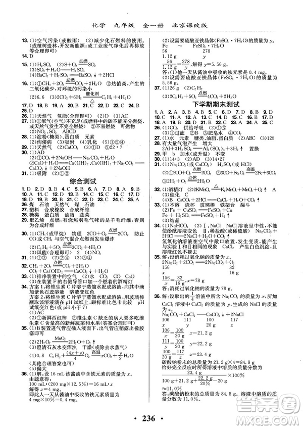 2018版新課改課堂作業(yè)化學(xué)九年級全一冊北京課改版答案