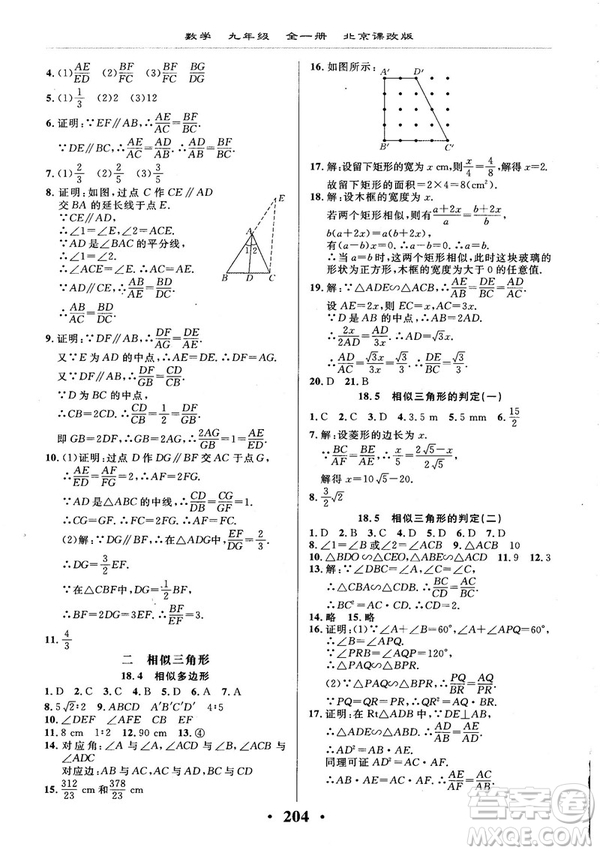 2018版新課改課堂作業(yè)九年級(jí)數(shù)學(xué)全一冊(cè)北京課改版參考答案