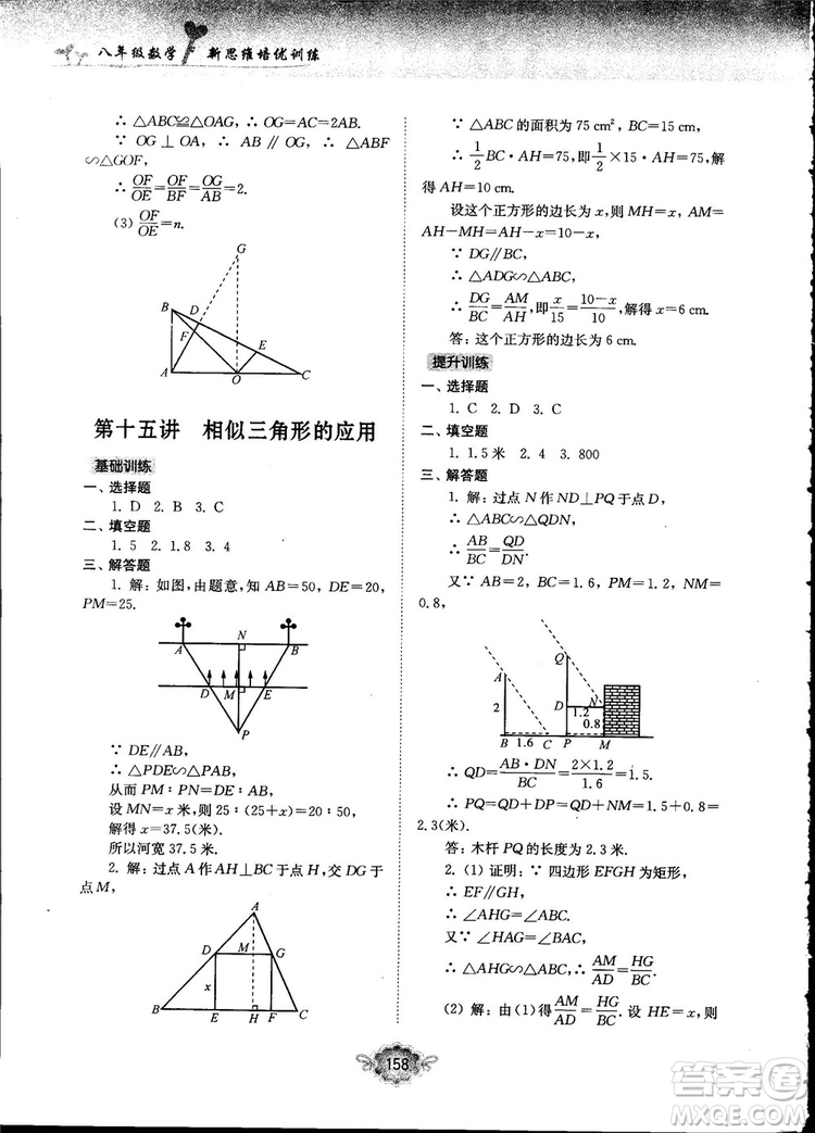 南大勵(lì)學(xué)新思維培優(yōu)訓(xùn)練數(shù)學(xué)八年級參考答案