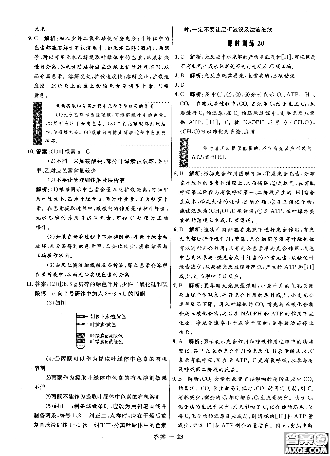 2018高中同步測控優(yōu)化訓(xùn)練生物必修1人教版RJ參考答案