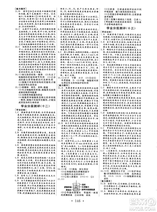 2018秋版課堂新坐標(biāo)高中同步導(dǎo)學(xué)案生物必修一人教版答案