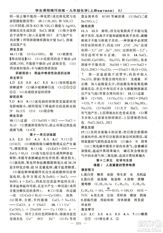 2018版學(xué)生課程精巧訓(xùn)練化學(xué)八年級上冊人教RJ版答案