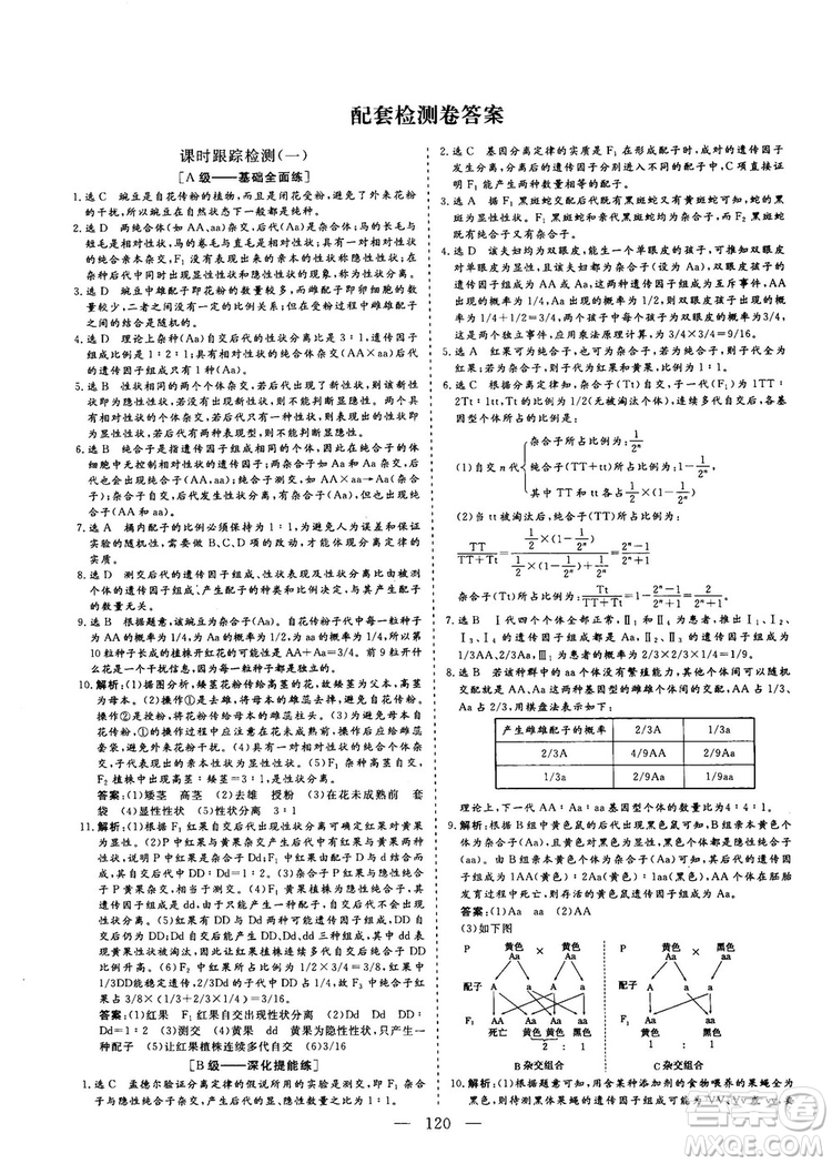 9787807013440三維設(shè)計生物必修2人教版2018-2019版答案