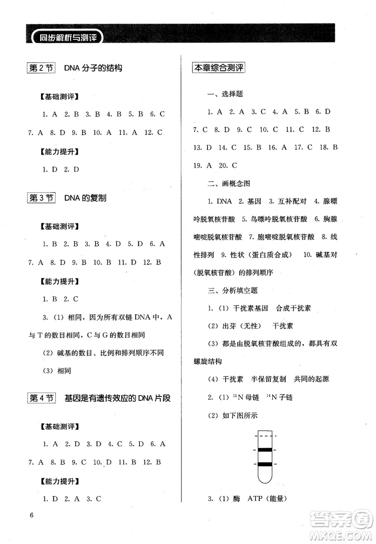 2018勝券在握同步解析與測(cè)評(píng)生物2必修遺傳與進(jìn)化參考答案