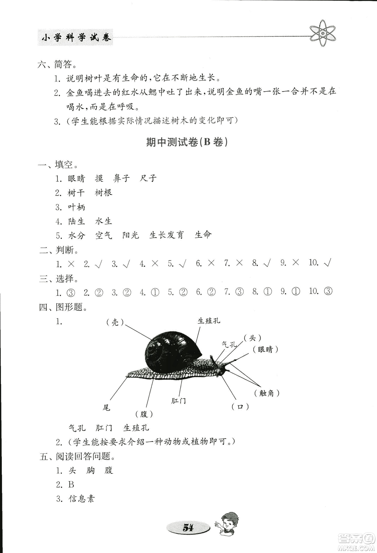 2018秋教科版金鑰匙小學(xué)科學(xué)試卷三年級(jí)上冊參考答案