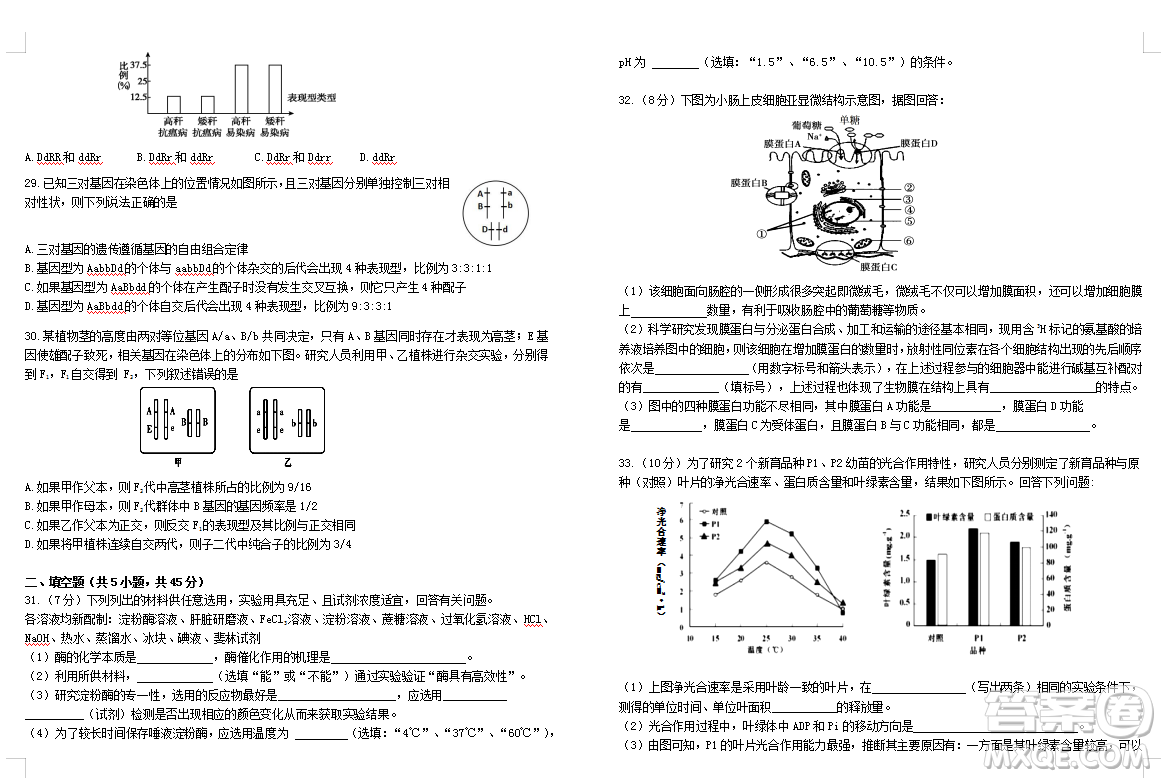 2019屆荊荊襄宜四地七校考試聯(lián)盟高三10月聯(lián)考生物答案