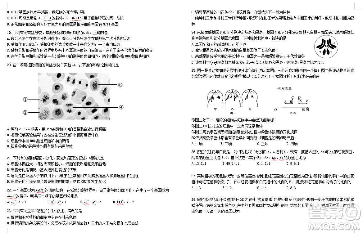 2019屆荊荊襄宜四地七?？荚嚶?lián)盟高三10月聯(lián)考生物答案