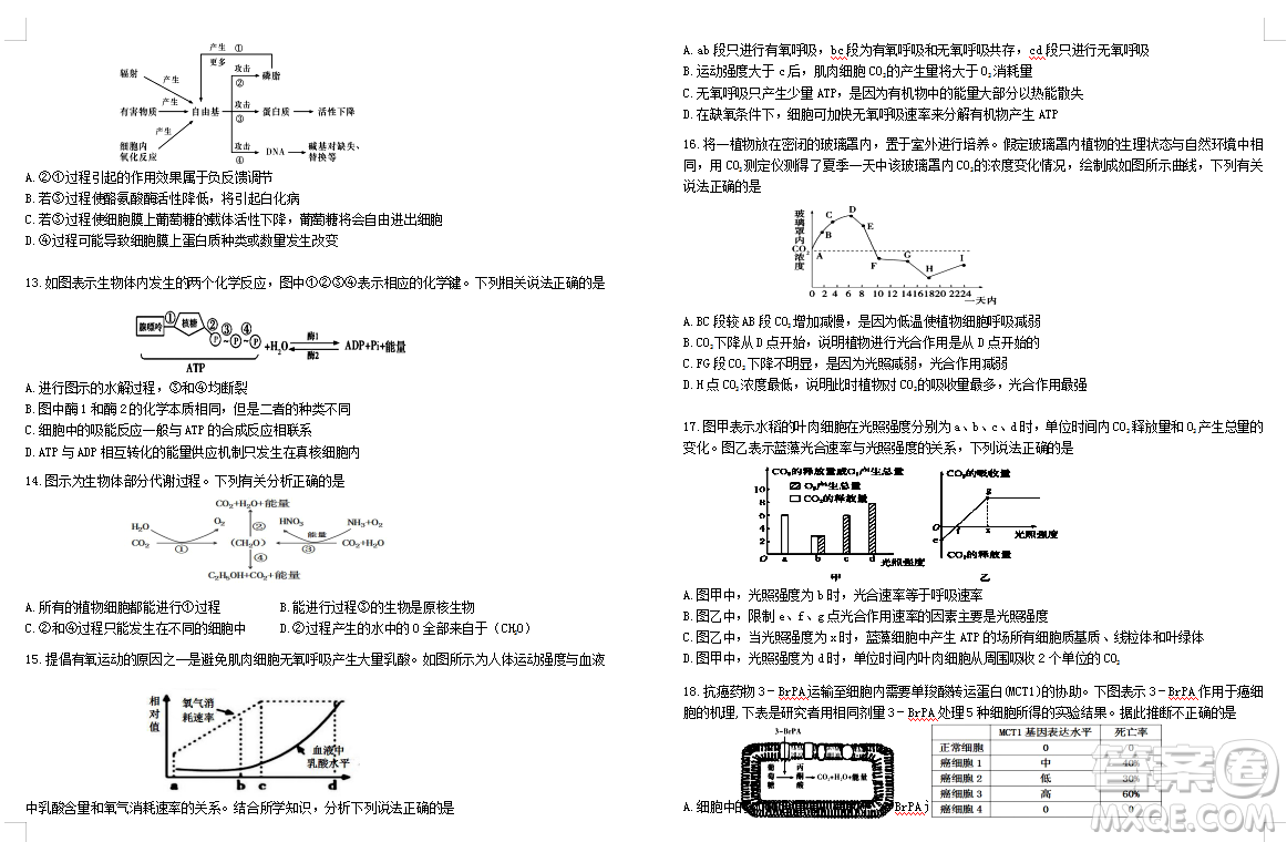 2019屆荊荊襄宜四地七?？荚嚶?lián)盟高三10月聯(lián)考生物答案