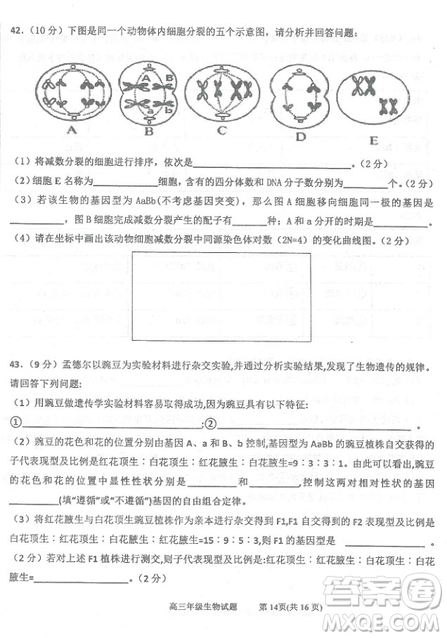 2019屆河北省衡水中學(xué)高三上學(xué)期三調(diào)考試歷史試題及答案