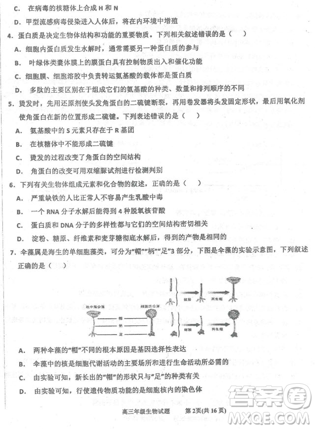 2019屆河北省衡水中學(xué)高三上學(xué)期三調(diào)考試歷史試題及答案